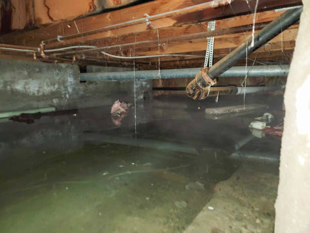 Best Fire Damage Restoration  in Bolindale, OH