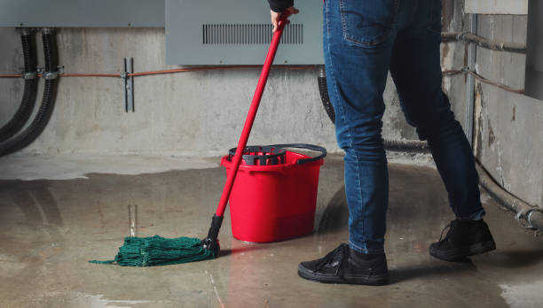 Best Water damage restoration mold remediation  in Bolindale, OH