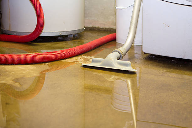 Best Professional water damage repair  in Bolindale, OH