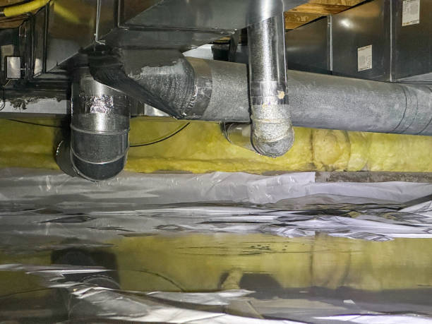 Best 24-hour water damage restoration  in Bolindale, OH