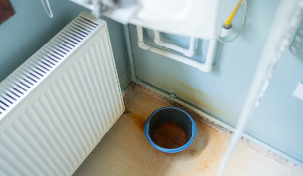 Best Fire Damage Restoration  in Bolindale, OH