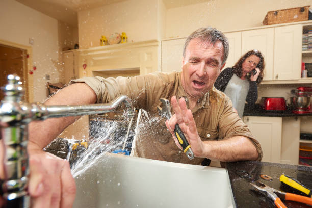 Best Commercial water damage restoration  in Bolindale, OH